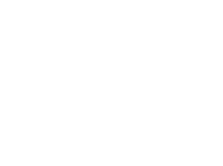 Irinox Professional logo