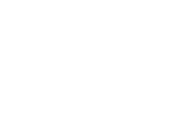 Lancer Worldwide logo